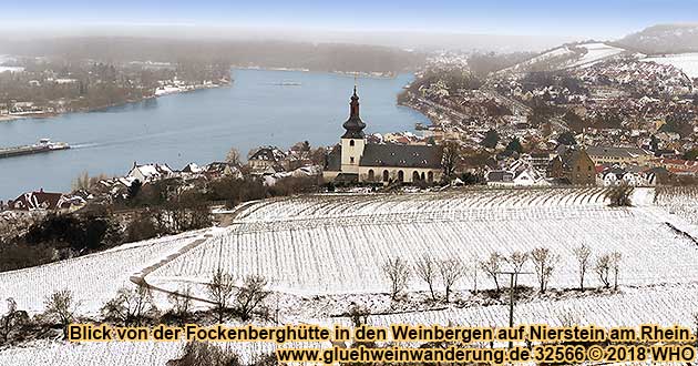 Glhweinwanderung bei Nierstein in Rheinhessen fr Gruppen ab 10 Personen an jedem Termin