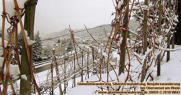 Glhweinwanderung bei Oberwesel am Mittelrhein durch die Weinbergslage Oelsberg.