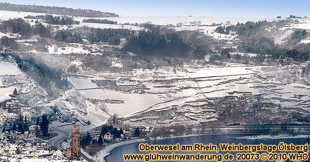 Glhweinwanderung durch die Weinbergslage Oelsberg bei Oberwesel am Mittelrhein.